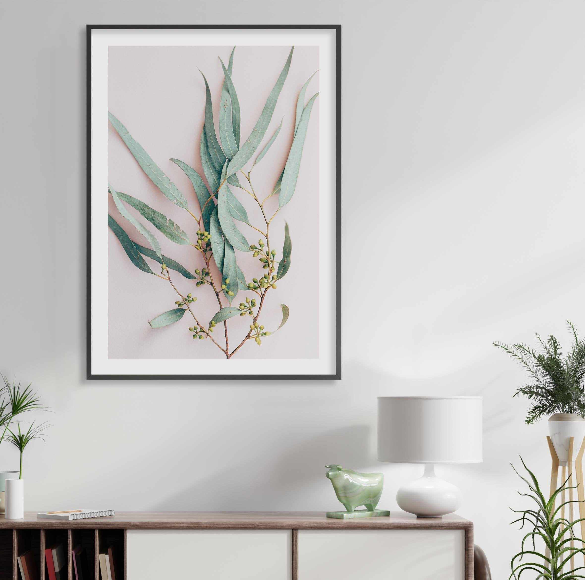 Eucalyptus on Blush Art Print-PRINT-Olive et Oriel-Olive et Oriel-Buy-Australian-Art-Prints-Online-with-Olive-et-Oriel-Your-Artwork-Specialists-Austrailia-Decorate-With-Coastal-Photo-Wall-Art-Prints-From-Our-Beach-House-Artwork-Collection-Fine-Poster-and-Framed-Artwork