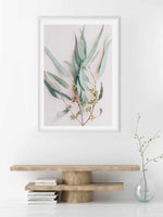 Eucalyptus on Blush Art Print-PRINT-Olive et Oriel-Olive et Oriel-Buy-Australian-Art-Prints-Online-with-Olive-et-Oriel-Your-Artwork-Specialists-Austrailia-Decorate-With-Coastal-Photo-Wall-Art-Prints-From-Our-Beach-House-Artwork-Collection-Fine-Poster-and-Framed-Artwork