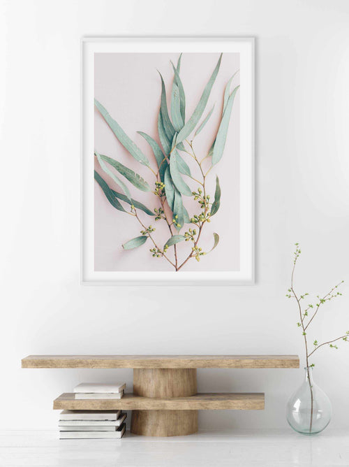 Eucalyptus on Blush Art Print-PRINT-Olive et Oriel-Olive et Oriel-Buy-Australian-Art-Prints-Online-with-Olive-et-Oriel-Your-Artwork-Specialists-Austrailia-Decorate-With-Coastal-Photo-Wall-Art-Prints-From-Our-Beach-House-Artwork-Collection-Fine-Poster-and-Framed-Artwork