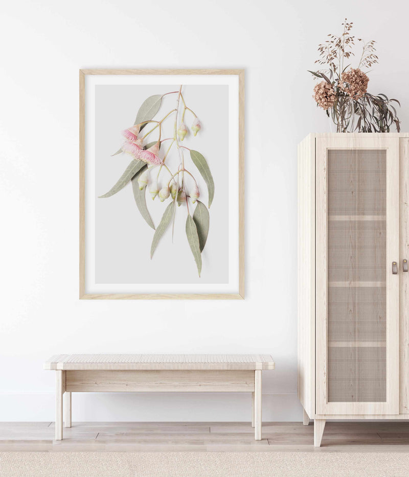 Eucalyptus on Grey Art Print-PRINT-Olive et Oriel-Olive et Oriel-Buy-Australian-Art-Prints-Online-with-Olive-et-Oriel-Your-Artwork-Specialists-Austrailia-Decorate-With-Coastal-Photo-Wall-Art-Prints-From-Our-Beach-House-Artwork-Collection-Fine-Poster-and-Framed-Artwork