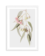 Eucalyptus on Grey Art Print-PRINT-Olive et Oriel-Olive et Oriel-A5 | 5.8" x 8.3" | 14.8 x 21cm-White-With White Border-Buy-Australian-Art-Prints-Online-with-Olive-et-Oriel-Your-Artwork-Specialists-Austrailia-Decorate-With-Coastal-Photo-Wall-Art-Prints-From-Our-Beach-House-Artwork-Collection-Fine-Poster-and-Framed-Artwork
