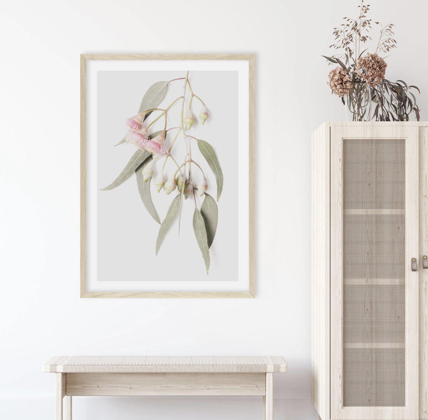 Eucalyptus on Grey Art Print-PRINT-Olive et Oriel-Olive et Oriel-Buy-Australian-Art-Prints-Online-with-Olive-et-Oriel-Your-Artwork-Specialists-Austrailia-Decorate-With-Coastal-Photo-Wall-Art-Prints-From-Our-Beach-House-Artwork-Collection-Fine-Poster-and-Framed-Artwork