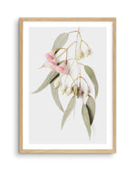 Eucalyptus on Grey Art Print-PRINT-Olive et Oriel-Olive et Oriel-A5 | 5.8" x 8.3" | 14.8 x 21cm-Oak-With White Border-Buy-Australian-Art-Prints-Online-with-Olive-et-Oriel-Your-Artwork-Specialists-Austrailia-Decorate-With-Coastal-Photo-Wall-Art-Prints-From-Our-Beach-House-Artwork-Collection-Fine-Poster-and-Framed-Artwork