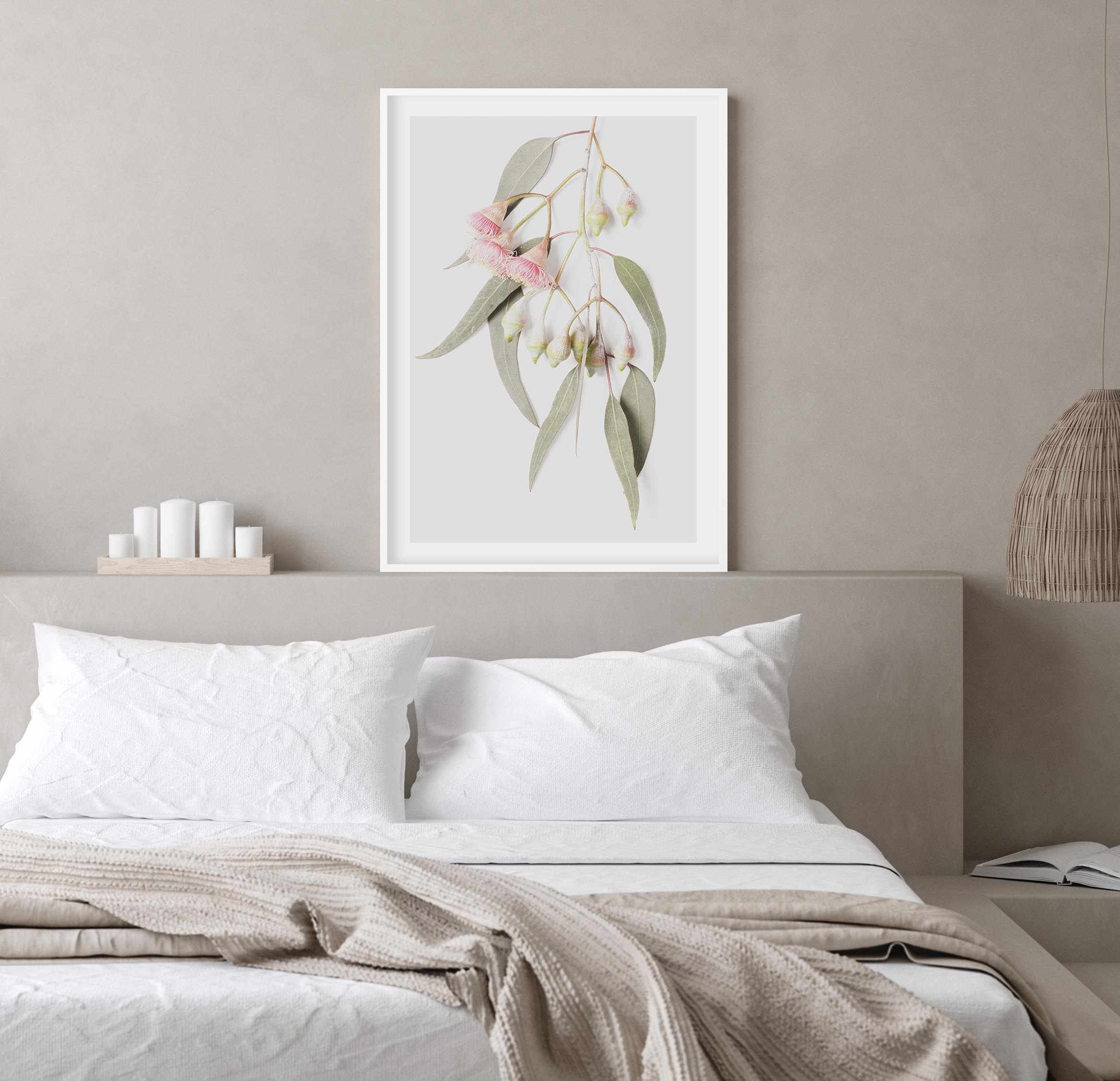 Eucalyptus on Grey Art Print-PRINT-Olive et Oriel-Olive et Oriel-Buy-Australian-Art-Prints-Online-with-Olive-et-Oriel-Your-Artwork-Specialists-Austrailia-Decorate-With-Coastal-Photo-Wall-Art-Prints-From-Our-Beach-House-Artwork-Collection-Fine-Poster-and-Framed-Artwork