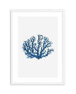 Fan Coral II Art Print-PRINT-Olive et Oriel-Olive et Oriel-A5 | 5.8" x 8.3" | 14.8 x 21cm-White-With White Border-Buy-Australian-Art-Prints-Online-with-Olive-et-Oriel-Your-Artwork-Specialists-Austrailia-Decorate-With-Coastal-Photo-Wall-Art-Prints-From-Our-Beach-House-Artwork-Collection-Fine-Poster-and-Framed-Artwork
