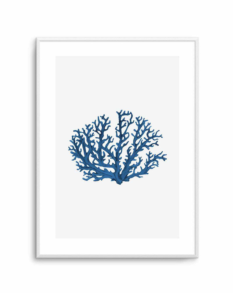 Fan Coral II Art Print-PRINT-Olive et Oriel-Olive et Oriel-A5 | 5.8" x 8.3" | 14.8 x 21cm-Unframed Art Print-With White Border-Buy-Australian-Art-Prints-Online-with-Olive-et-Oriel-Your-Artwork-Specialists-Austrailia-Decorate-With-Coastal-Photo-Wall-Art-Prints-From-Our-Beach-House-Artwork-Collection-Fine-Poster-and-Framed-Artwork