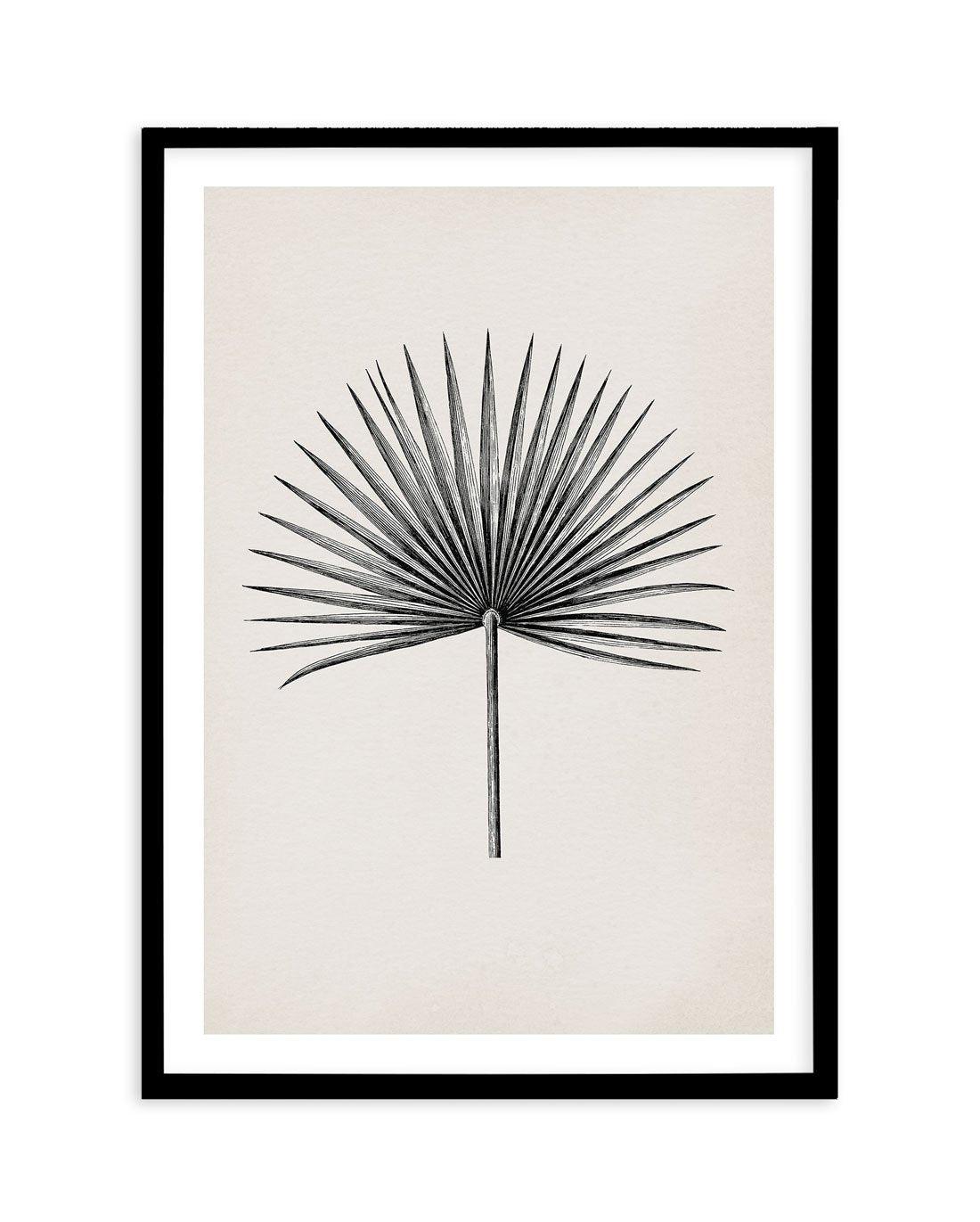 Fan Palm II Art Print-PRINT-Olive et Oriel-Olive et Oriel-A5 | 5.8" x 8.3" | 14.8 x 21cm-Black-With White Border-Buy-Australian-Art-Prints-Online-with-Olive-et-Oriel-Your-Artwork-Specialists-Austrailia-Decorate-With-Coastal-Photo-Wall-Art-Prints-From-Our-Beach-House-Artwork-Collection-Fine-Poster-and-Framed-Artwork