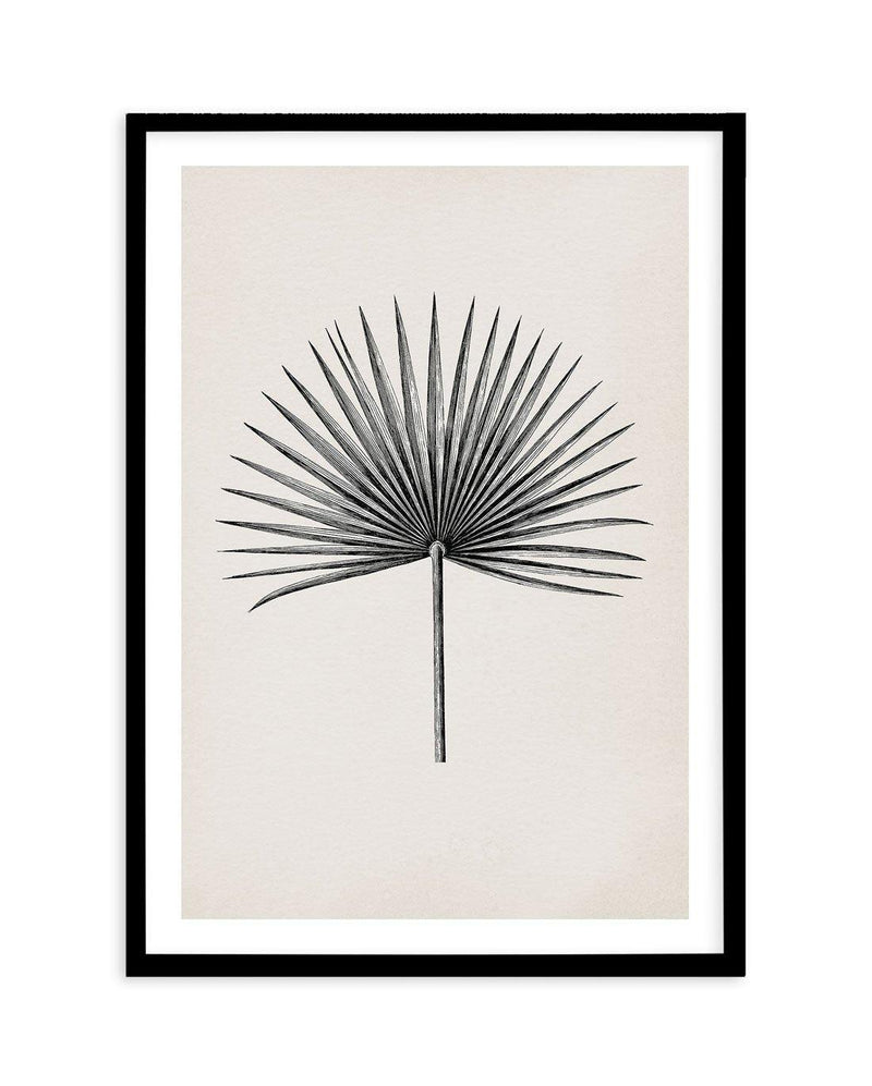 Fan Palm II Art Print-PRINT-Olive et Oriel-Olive et Oriel-A5 | 5.8" x 8.3" | 14.8 x 21cm-Black-With White Border-Buy-Australian-Art-Prints-Online-with-Olive-et-Oriel-Your-Artwork-Specialists-Austrailia-Decorate-With-Coastal-Photo-Wall-Art-Prints-From-Our-Beach-House-Artwork-Collection-Fine-Poster-and-Framed-Artwork