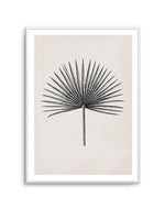 Fan Palm II Art Print-PRINT-Olive et Oriel-Olive et Oriel-A5 | 5.8" x 8.3" | 14.8 x 21cm-Unframed Art Print-With White Border-Buy-Australian-Art-Prints-Online-with-Olive-et-Oriel-Your-Artwork-Specialists-Austrailia-Decorate-With-Coastal-Photo-Wall-Art-Prints-From-Our-Beach-House-Artwork-Collection-Fine-Poster-and-Framed-Artwork