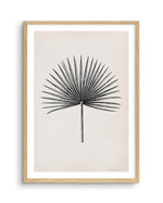 Fan Palm II Art Print-PRINT-Olive et Oriel-Olive et Oriel-A5 | 5.8" x 8.3" | 14.8 x 21cm-Oak-With White Border-Buy-Australian-Art-Prints-Online-with-Olive-et-Oriel-Your-Artwork-Specialists-Austrailia-Decorate-With-Coastal-Photo-Wall-Art-Prints-From-Our-Beach-House-Artwork-Collection-Fine-Poster-and-Framed-Artwork
