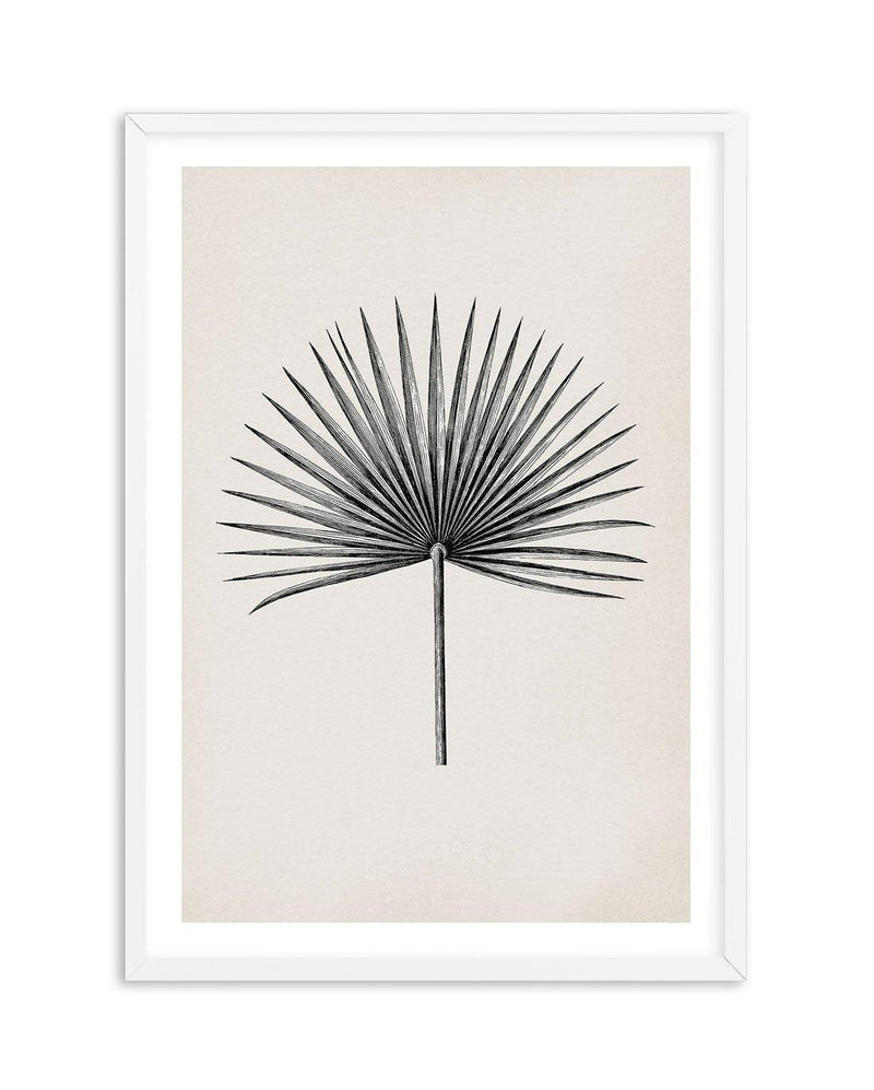 Fan Palm II Art Print-PRINT-Olive et Oriel-Olive et Oriel-A5 | 5.8" x 8.3" | 14.8 x 21cm-White-With White Border-Buy-Australian-Art-Prints-Online-with-Olive-et-Oriel-Your-Artwork-Specialists-Austrailia-Decorate-With-Coastal-Photo-Wall-Art-Prints-From-Our-Beach-House-Artwork-Collection-Fine-Poster-and-Framed-Artwork