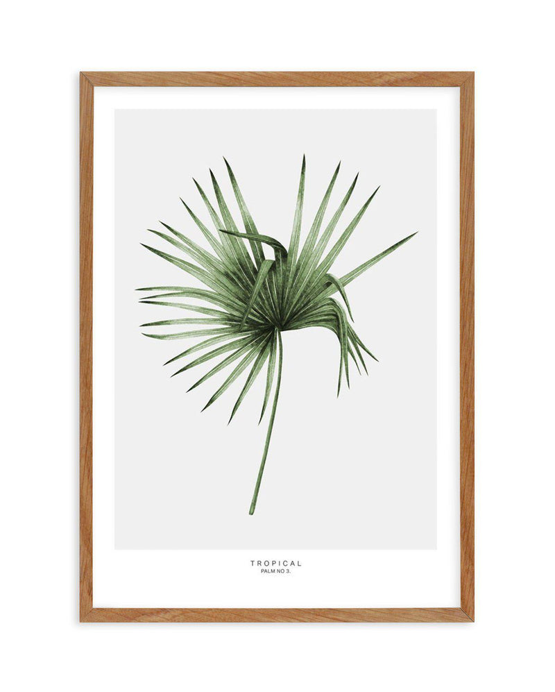 Fan Palm III Art Print-PRINT-Olive et Oriel-Olive et Oriel-50x70 cm | 19.6" x 27.5"-Walnut-With White Border-Buy-Australian-Art-Prints-Online-with-Olive-et-Oriel-Your-Artwork-Specialists-Austrailia-Decorate-With-Coastal-Photo-Wall-Art-Prints-From-Our-Beach-House-Artwork-Collection-Fine-Poster-and-Framed-Artwork