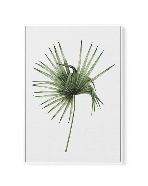 Fan Palm III | Framed Canvas-CANVAS-You can shop wall art online with Olive et Oriel for everything from abstract art to fun kids wall art. Our beautiful modern art prints and canvas art are available from large canvas prints to wall art paintings and our proudly Australian artwork collection offers only the highest quality framed large wall art and canvas art Australia - You can buy fashion photography prints or Hampton print posters and paintings on canvas from Olive et Oriel and have them del