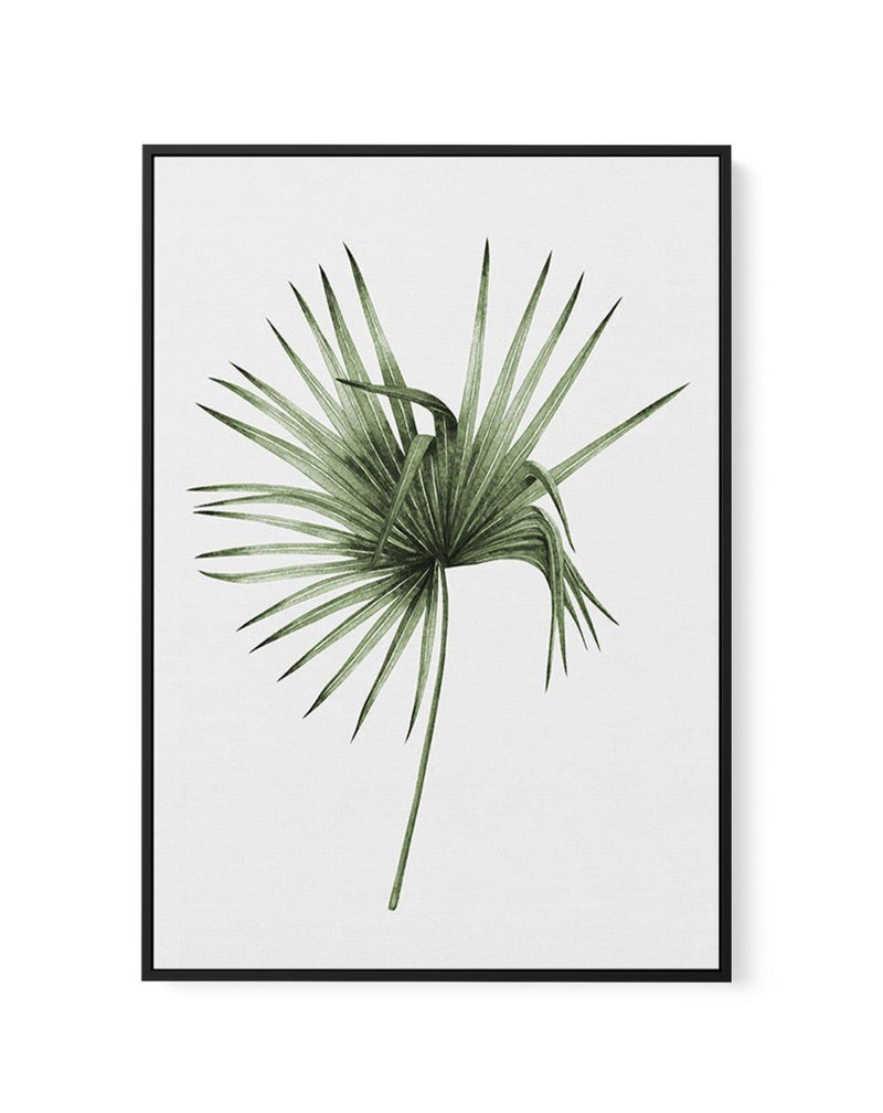 Fan Palm III | Framed Canvas-CANVAS-You can shop wall art online with Olive et Oriel for everything from abstract art to fun kids wall art. Our beautiful modern art prints and canvas art are available from large canvas prints to wall art paintings and our proudly Australian artwork collection offers only the highest quality framed large wall art and canvas art Australia - You can buy fashion photography prints or Hampton print posters and paintings on canvas from Olive et Oriel and have them del