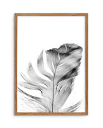 Feather | Grey Art Print-PRINT-Olive et Oriel-Olive et Oriel-50x70 cm | 19.6" x 27.5"-Walnut-With White Border-Buy-Australian-Art-Prints-Online-with-Olive-et-Oriel-Your-Artwork-Specialists-Austrailia-Decorate-With-Coastal-Photo-Wall-Art-Prints-From-Our-Beach-House-Artwork-Collection-Fine-Poster-and-Framed-Artwork