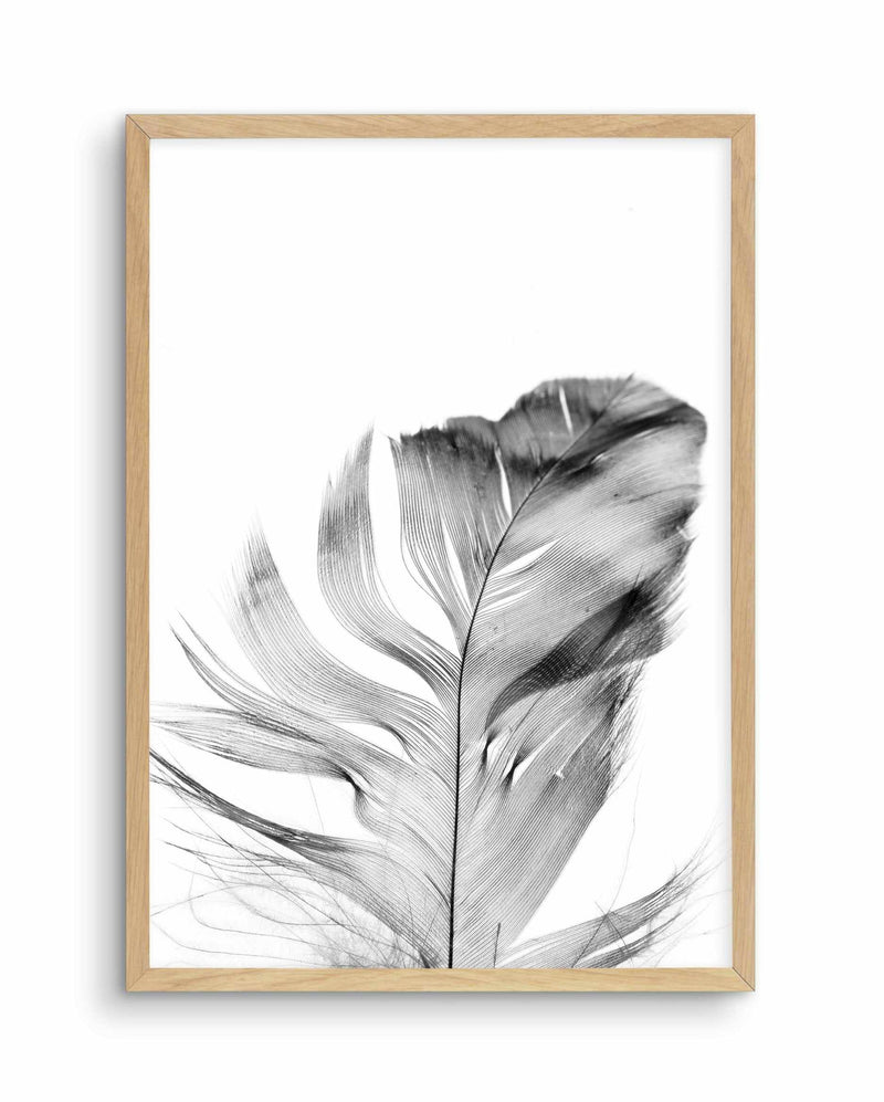 Feather | Grey Art Print-PRINT-Olive et Oriel-Olive et Oriel-A5 | 5.8" x 8.3" | 14.8 x 21cm-Oak-With White Border-Buy-Australian-Art-Prints-Online-with-Olive-et-Oriel-Your-Artwork-Specialists-Austrailia-Decorate-With-Coastal-Photo-Wall-Art-Prints-From-Our-Beach-House-Artwork-Collection-Fine-Poster-and-Framed-Artwork