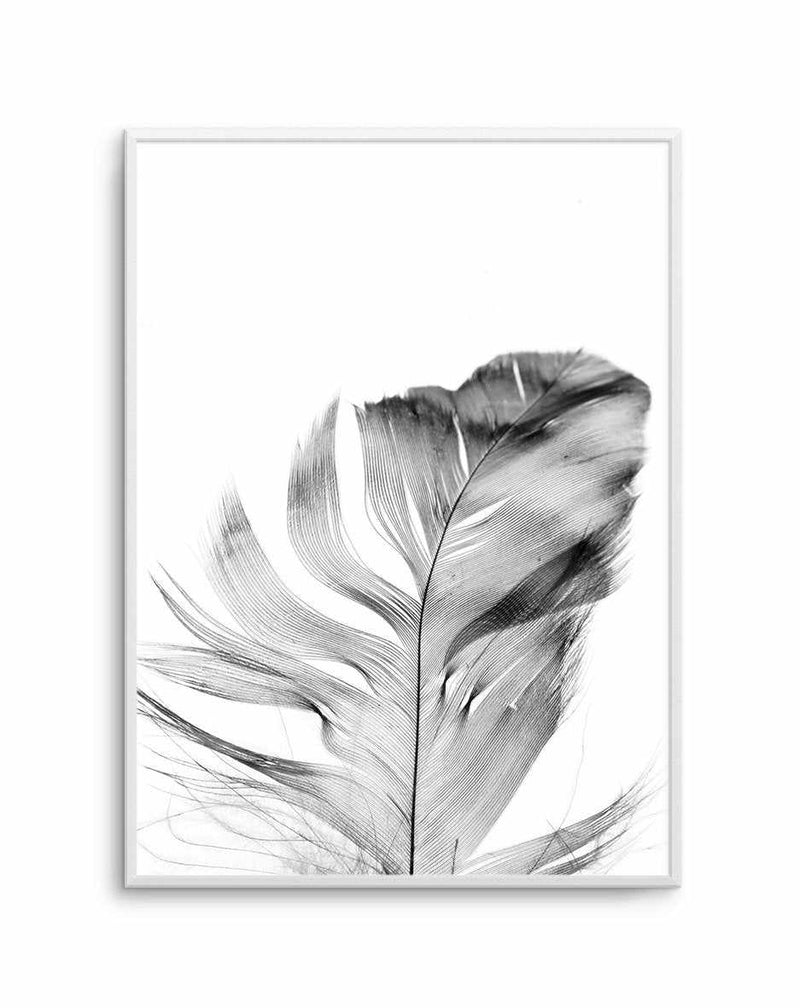 Feather | Grey Art Print-PRINT-Olive et Oriel-Olive et Oriel-A5 | 5.8" x 8.3" | 14.8 x 21cm-Unframed Art Print-With White Border-Buy-Australian-Art-Prints-Online-with-Olive-et-Oriel-Your-Artwork-Specialists-Austrailia-Decorate-With-Coastal-Photo-Wall-Art-Prints-From-Our-Beach-House-Artwork-Collection-Fine-Poster-and-Framed-Artwork