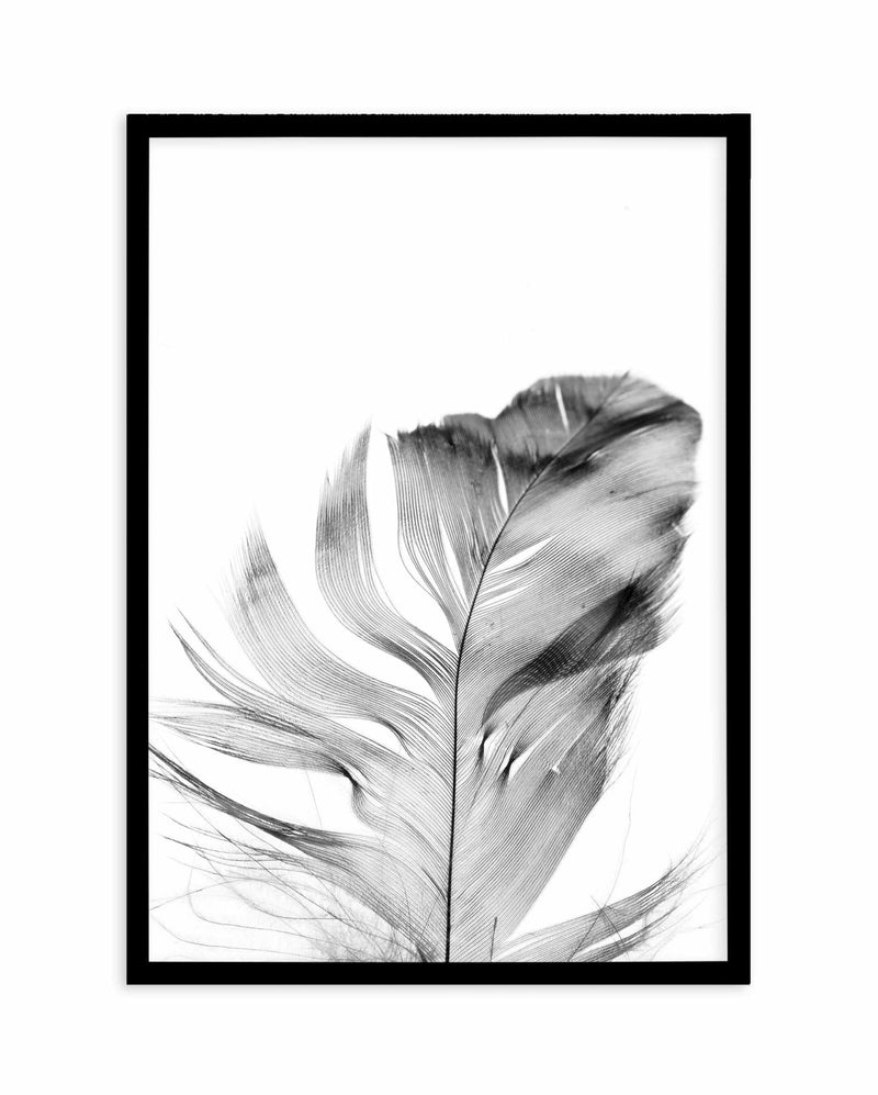 Feather | Grey Art Print-PRINT-Olive et Oriel-Olive et Oriel-A5 | 5.8" x 8.3" | 14.8 x 21cm-Black-With White Border-Buy-Australian-Art-Prints-Online-with-Olive-et-Oriel-Your-Artwork-Specialists-Austrailia-Decorate-With-Coastal-Photo-Wall-Art-Prints-From-Our-Beach-House-Artwork-Collection-Fine-Poster-and-Framed-Artwork