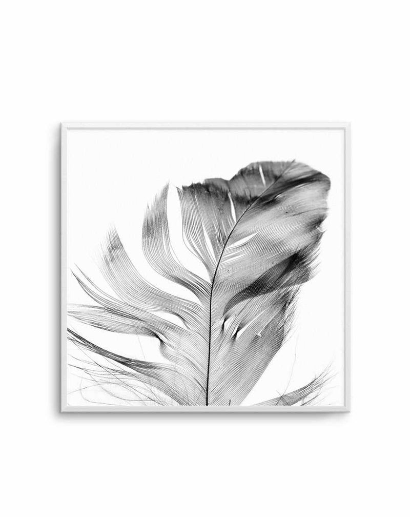 Feather Grey SQ Art Print-PRINT-Olive et Oriel-Olive et Oriel-Buy-Australian-Art-Prints-Online-with-Olive-et-Oriel-Your-Artwork-Specialists-Austrailia-Decorate-With-Coastal-Photo-Wall-Art-Prints-From-Our-Beach-House-Artwork-Collection-Fine-Poster-and-Framed-Artwork