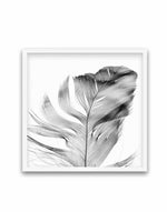 Feather Grey SQ Art Print-PRINT-Olive et Oriel-Olive et Oriel-70x70 cm | 27.5" x 27.5"-White-With White Border-Buy-Australian-Art-Prints-Online-with-Olive-et-Oriel-Your-Artwork-Specialists-Austrailia-Decorate-With-Coastal-Photo-Wall-Art-Prints-From-Our-Beach-House-Artwork-Collection-Fine-Poster-and-Framed-Artwork