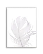 Feather II | White Art Print-PRINT-Olive et Oriel-Olive et Oriel-A5 | 5.8" x 8.3" | 14.8 x 21cm-Unframed Art Print-With White Border-Buy-Australian-Art-Prints-Online-with-Olive-et-Oriel-Your-Artwork-Specialists-Austrailia-Decorate-With-Coastal-Photo-Wall-Art-Prints-From-Our-Beach-House-Artwork-Collection-Fine-Poster-and-Framed-Artwork