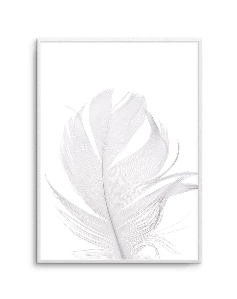 Feather II | White Art Print-PRINT-Olive et Oriel-Olive et Oriel-A5 | 5.8" x 8.3" | 14.8 x 21cm-Unframed Art Print-With White Border-Buy-Australian-Art-Prints-Online-with-Olive-et-Oriel-Your-Artwork-Specialists-Austrailia-Decorate-With-Coastal-Photo-Wall-Art-Prints-From-Our-Beach-House-Artwork-Collection-Fine-Poster-and-Framed-Artwork