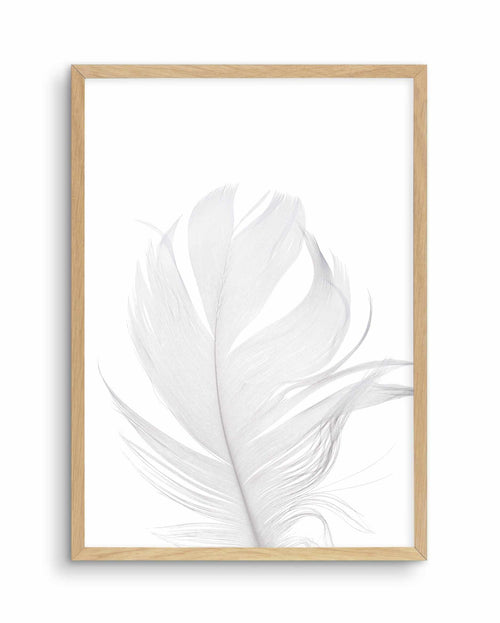 Feather II | White Art Print-PRINT-Olive et Oriel-Olive et Oriel-A5 | 5.8" x 8.3" | 14.8 x 21cm-Oak-With White Border-Buy-Australian-Art-Prints-Online-with-Olive-et-Oriel-Your-Artwork-Specialists-Austrailia-Decorate-With-Coastal-Photo-Wall-Art-Prints-From-Our-Beach-House-Artwork-Collection-Fine-Poster-and-Framed-Artwork