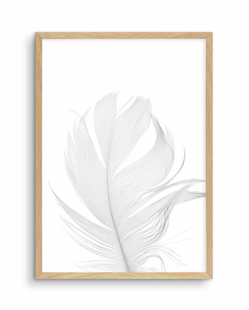 Feather II | White Art Print-PRINT-Olive et Oriel-Olive et Oriel-A5 | 5.8" x 8.3" | 14.8 x 21cm-Oak-With White Border-Buy-Australian-Art-Prints-Online-with-Olive-et-Oriel-Your-Artwork-Specialists-Austrailia-Decorate-With-Coastal-Photo-Wall-Art-Prints-From-Our-Beach-House-Artwork-Collection-Fine-Poster-and-Framed-Artwork