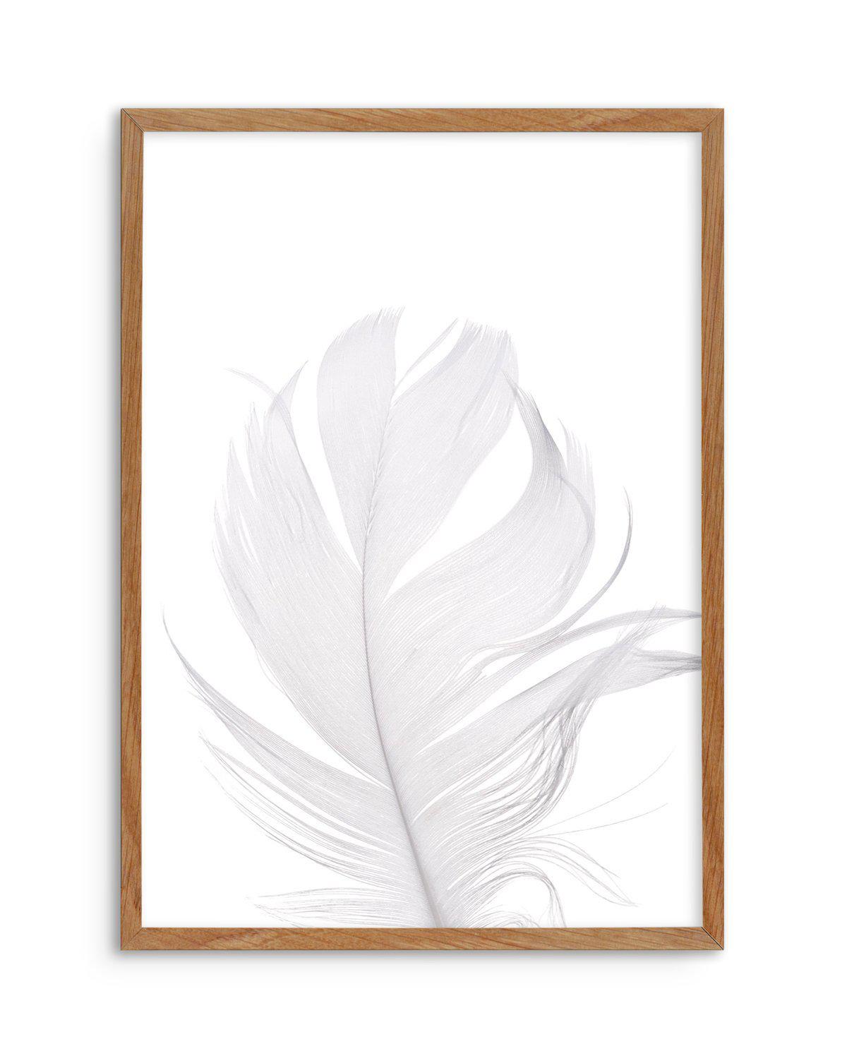 Feather II | White Art Print-PRINT-Olive et Oriel-Olive et Oriel-50x70 cm | 19.6" x 27.5"-Walnut-With White Border-Buy-Australian-Art-Prints-Online-with-Olive-et-Oriel-Your-Artwork-Specialists-Austrailia-Decorate-With-Coastal-Photo-Wall-Art-Prints-From-Our-Beach-House-Artwork-Collection-Fine-Poster-and-Framed-Artwork