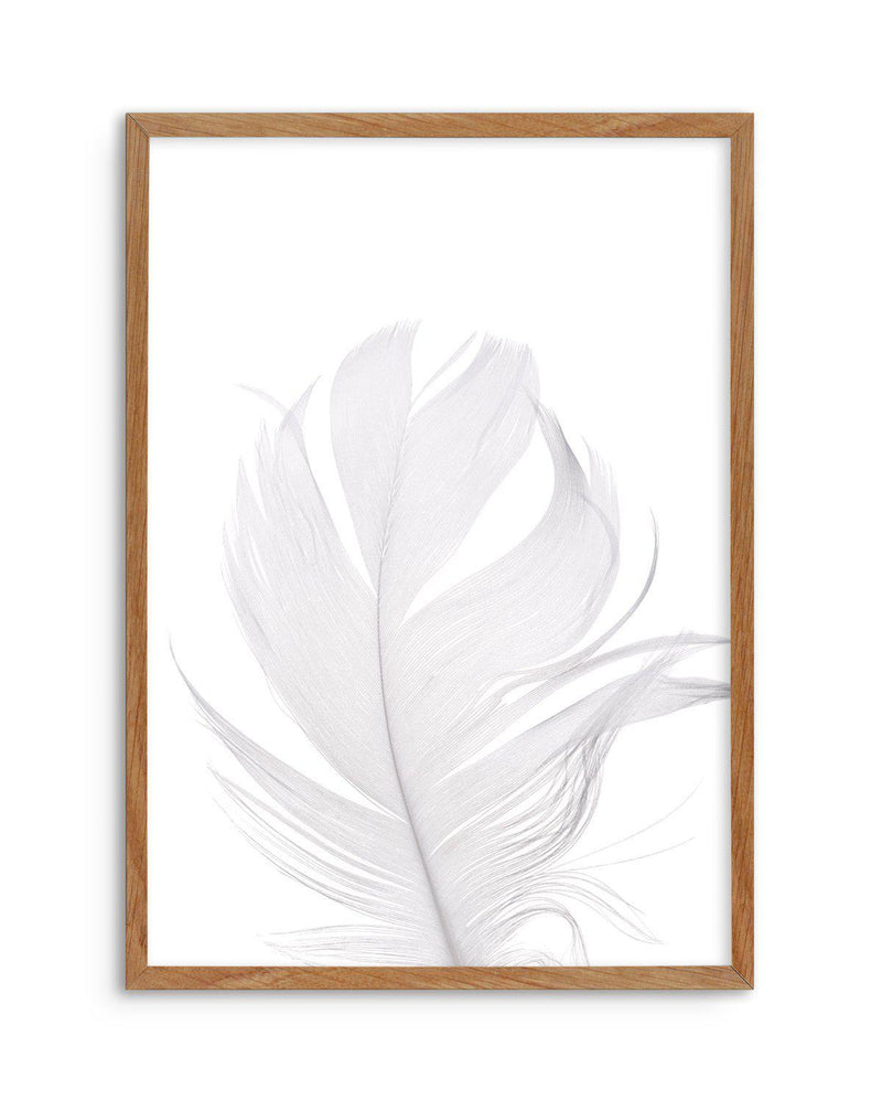 Feather II | White Art Print-PRINT-Olive et Oriel-Olive et Oriel-50x70 cm | 19.6" x 27.5"-Walnut-With White Border-Buy-Australian-Art-Prints-Online-with-Olive-et-Oriel-Your-Artwork-Specialists-Austrailia-Decorate-With-Coastal-Photo-Wall-Art-Prints-From-Our-Beach-House-Artwork-Collection-Fine-Poster-and-Framed-Artwork