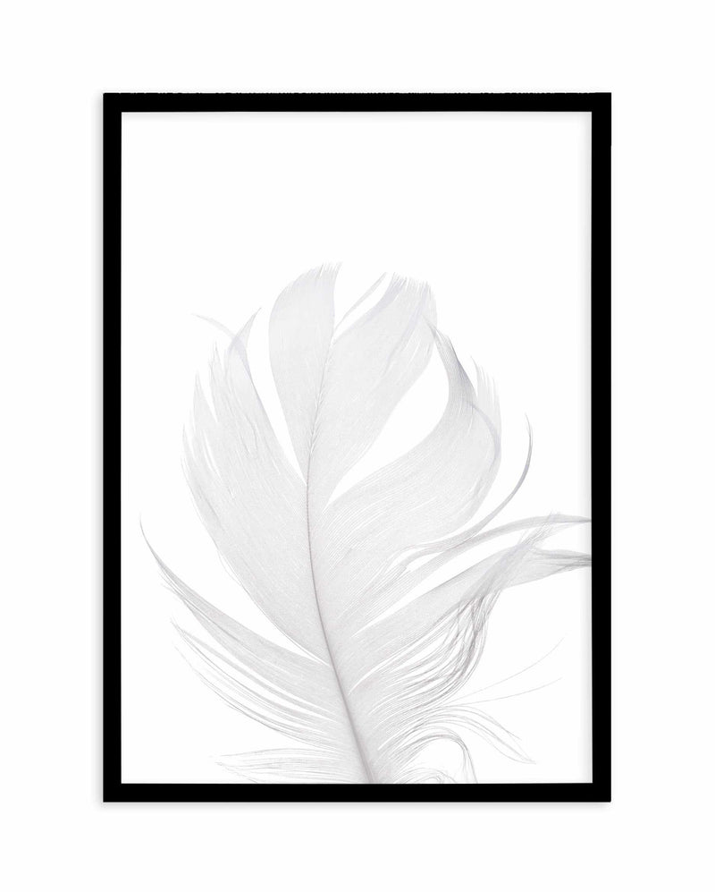 Feather II | White Art Print-PRINT-Olive et Oriel-Olive et Oriel-A5 | 5.8" x 8.3" | 14.8 x 21cm-Black-With White Border-Buy-Australian-Art-Prints-Online-with-Olive-et-Oriel-Your-Artwork-Specialists-Austrailia-Decorate-With-Coastal-Photo-Wall-Art-Prints-From-Our-Beach-House-Artwork-Collection-Fine-Poster-and-Framed-Artwork