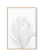 Feather II | White | Framed Canvas-CANVAS-You can shop wall art online with Olive et Oriel for everything from abstract art to fun kids wall art. Our beautiful modern art prints and canvas art are available from large canvas prints to wall art paintings and our proudly Australian artwork collection offers only the highest quality framed large wall art and canvas art Australia - You can buy fashion photography prints or Hampton print posters and paintings on canvas from Olive et Oriel and have th