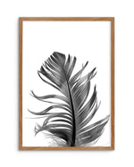 Feather III | Black Art Print-PRINT-Olive et Oriel-Olive et Oriel-50x70 cm | 19.6" x 27.5"-Walnut-With White Border-Buy-Australian-Art-Prints-Online-with-Olive-et-Oriel-Your-Artwork-Specialists-Austrailia-Decorate-With-Coastal-Photo-Wall-Art-Prints-From-Our-Beach-House-Artwork-Collection-Fine-Poster-and-Framed-Artwork