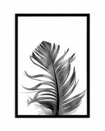 Feather III | Black Art Print-PRINT-Olive et Oriel-Olive et Oriel-A5 | 5.8" x 8.3" | 14.8 x 21cm-Black-With White Border-Buy-Australian-Art-Prints-Online-with-Olive-et-Oriel-Your-Artwork-Specialists-Austrailia-Decorate-With-Coastal-Photo-Wall-Art-Prints-From-Our-Beach-House-Artwork-Collection-Fine-Poster-and-Framed-Artwork