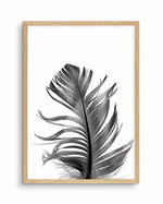 Feather III | Black Art Print-PRINT-Olive et Oriel-Olive et Oriel-A5 | 5.8" x 8.3" | 14.8 x 21cm-Oak-With White Border-Buy-Australian-Art-Prints-Online-with-Olive-et-Oriel-Your-Artwork-Specialists-Austrailia-Decorate-With-Coastal-Photo-Wall-Art-Prints-From-Our-Beach-House-Artwork-Collection-Fine-Poster-and-Framed-Artwork