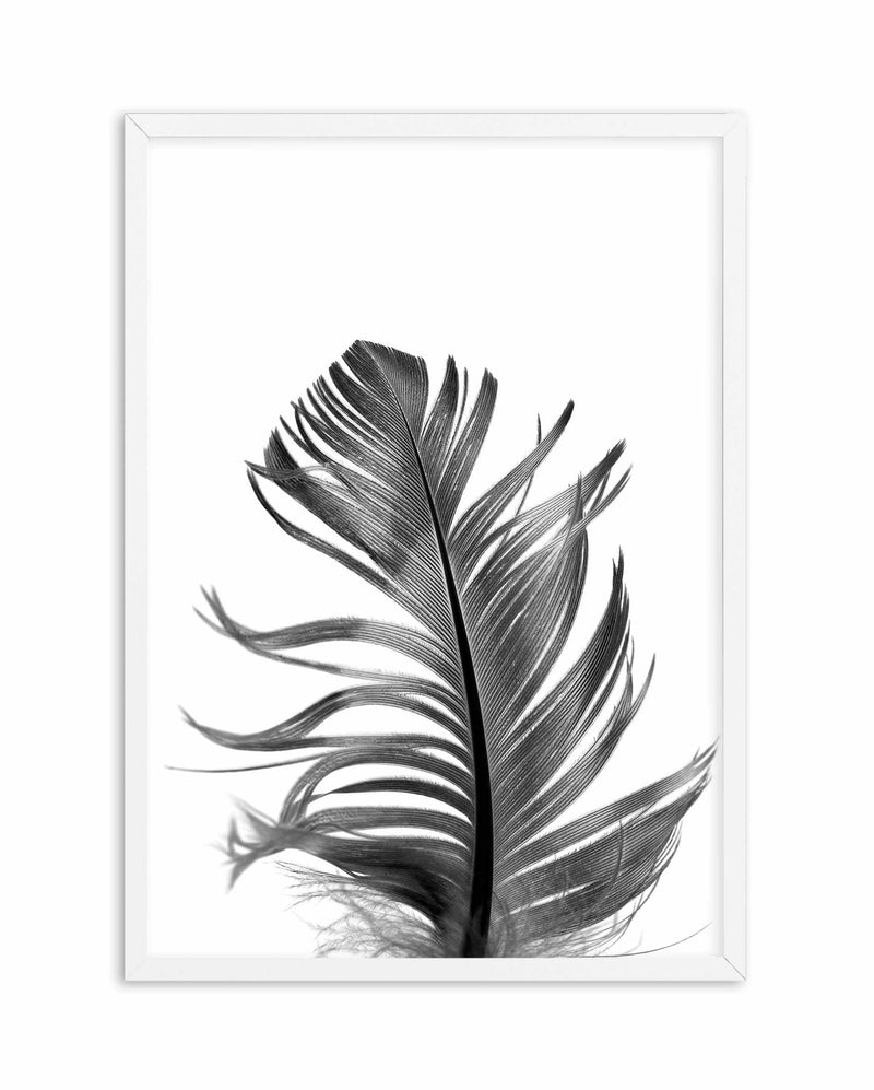 Feather III | Black Art Print-PRINT-Olive et Oriel-Olive et Oriel-A5 | 5.8" x 8.3" | 14.8 x 21cm-White-With White Border-Buy-Australian-Art-Prints-Online-with-Olive-et-Oriel-Your-Artwork-Specialists-Austrailia-Decorate-With-Coastal-Photo-Wall-Art-Prints-From-Our-Beach-House-Artwork-Collection-Fine-Poster-and-Framed-Artwork
