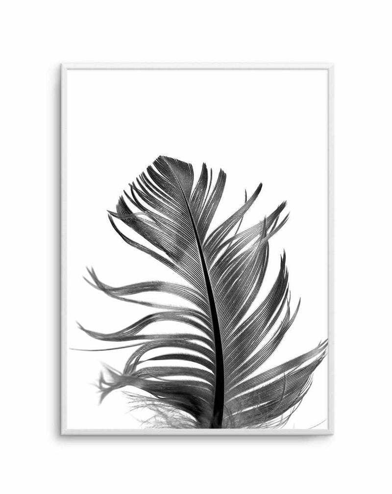 Feather III | Black Art Print or Poster. – Olive et Oriel