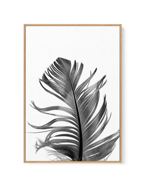 Feather III | Black | Framed Canvas-CANVAS-You can shop wall art online with Olive et Oriel for everything from abstract art to fun kids wall art. Our beautiful modern art prints and canvas art are available from large canvas prints to wall art paintings and our proudly Australian artwork collection offers only the highest quality framed large wall art and canvas art Australia - You can buy fashion photography prints or Hampton print posters and paintings on canvas from Olive et Oriel and have t