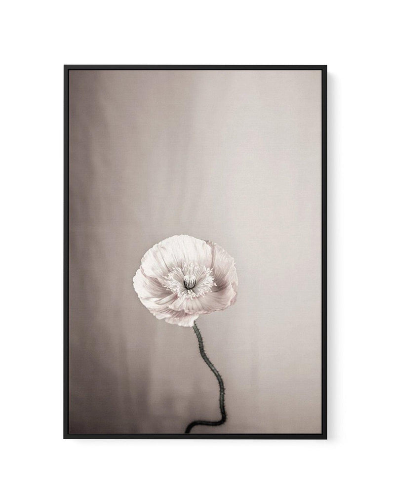 Femme Fleur | Framed Canvas-CANVAS-You can shop wall art online with Olive et Oriel for everything from abstract art to fun kids wall art. Our beautiful modern art prints and canvas art are available from large canvas prints to wall art paintings and our proudly Australian artwork collection offers only the highest quality framed large wall art and canvas art Australia - You can buy fashion photography prints or Hampton print posters and paintings on canvas from Olive et Oriel and have them deli