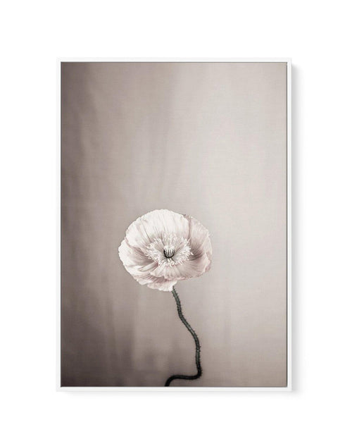 Femme Fleur | Framed Canvas-CANVAS-You can shop wall art online with Olive et Oriel for everything from abstract art to fun kids wall art. Our beautiful modern art prints and canvas art are available from large canvas prints to wall art paintings and our proudly Australian artwork collection offers only the highest quality framed large wall art and canvas art Australia - You can buy fashion photography prints or Hampton print posters and paintings on canvas from Olive et Oriel and have them deli