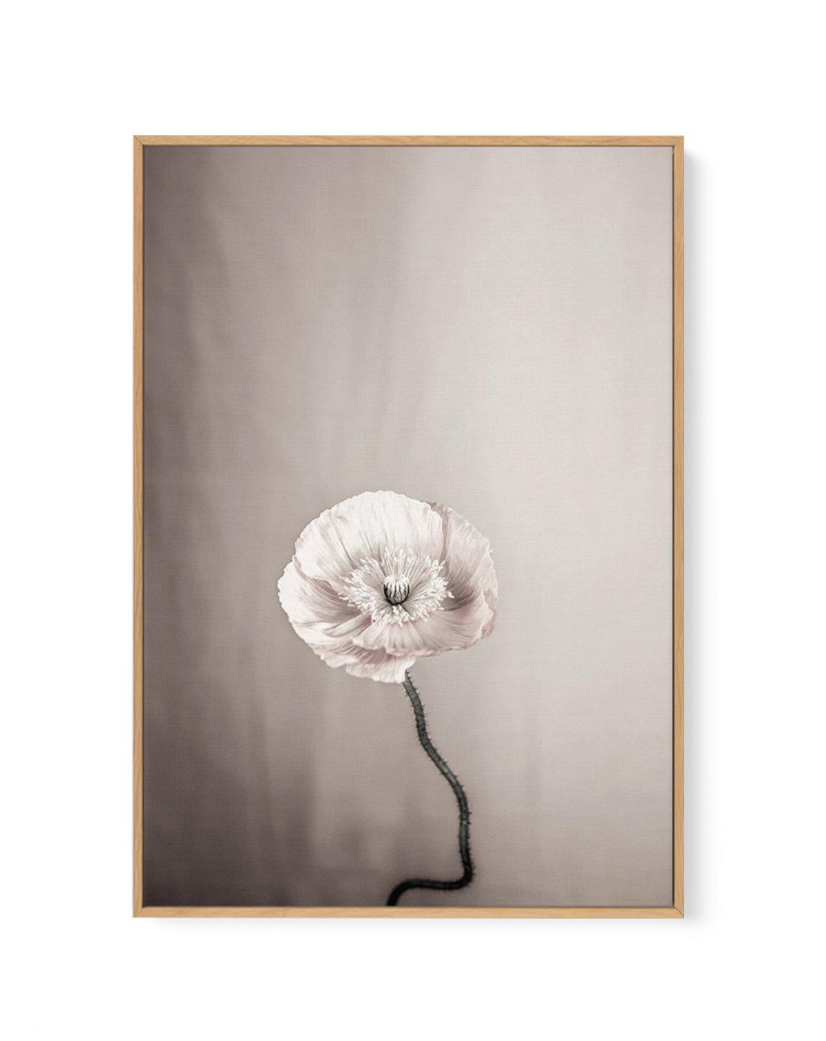 Femme Fleur | Framed Canvas-CANVAS-You can shop wall art online with Olive et Oriel for everything from abstract art to fun kids wall art. Our beautiful modern art prints and canvas art are available from large canvas prints to wall art paintings and our proudly Australian artwork collection offers only the highest quality framed large wall art and canvas art Australia - You can buy fashion photography prints or Hampton print posters and paintings on canvas from Olive et Oriel and have them deli