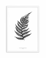 Fern Art Print-PRINT-Olive et Oriel-Olive et Oriel-A5 | 5.8" x 8.3" | 14.8 x 21cm-White-With White Border-Buy-Australian-Art-Prints-Online-with-Olive-et-Oriel-Your-Artwork-Specialists-Austrailia-Decorate-With-Coastal-Photo-Wall-Art-Prints-From-Our-Beach-House-Artwork-Collection-Fine-Poster-and-Framed-Artwork