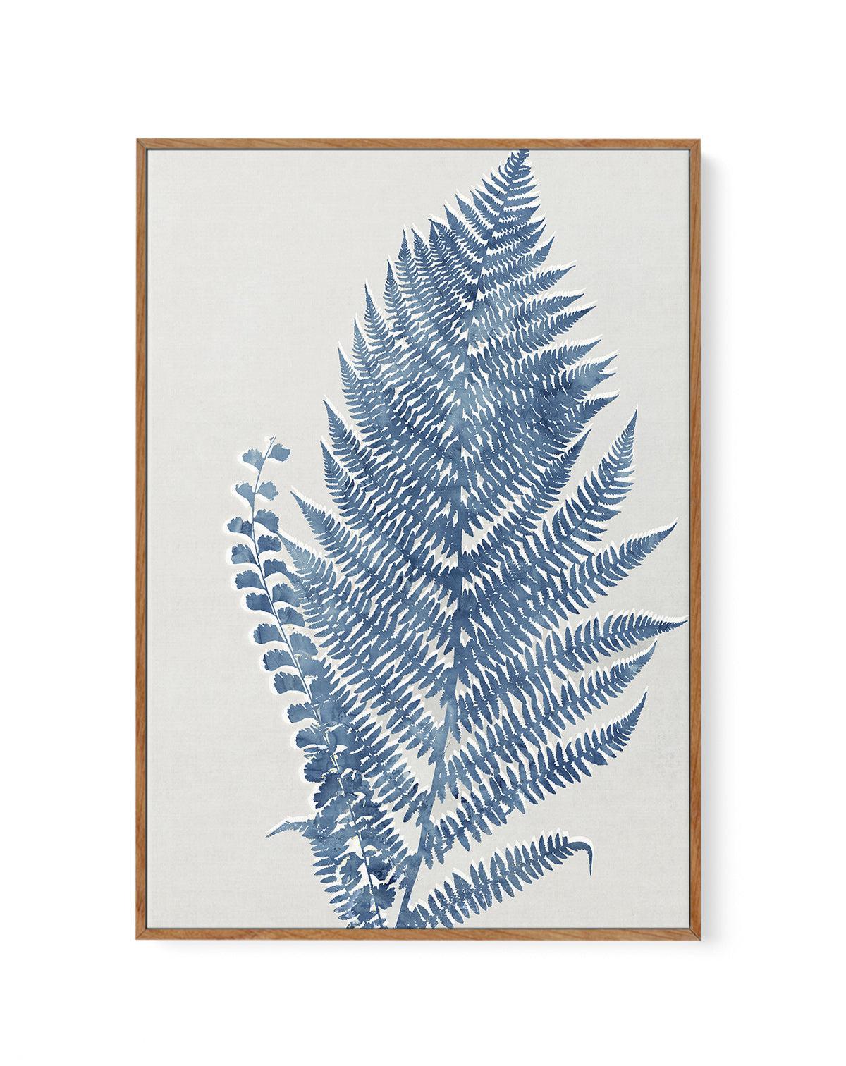 Fern I | Framed Canvas-CANVAS-You can shop wall art online with Olive et Oriel for everything from abstract art to fun kids wall art. Our beautiful modern art prints and canvas art are available from large canvas prints to wall art paintings and our proudly Australian artwork collection offers only the highest quality framed large wall art and canvas art Australia - You can buy fashion photography prints or Hampton print posters and paintings on canvas from Olive et Oriel and have them delivered