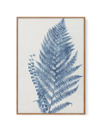 Fern I | Framed Canvas-CANVAS-You can shop wall art online with Olive et Oriel for everything from abstract art to fun kids wall art. Our beautiful modern art prints and canvas art are available from large canvas prints to wall art paintings and our proudly Australian artwork collection offers only the highest quality framed large wall art and canvas art Australia - You can buy fashion photography prints or Hampton print posters and paintings on canvas from Olive et Oriel and have them delivered