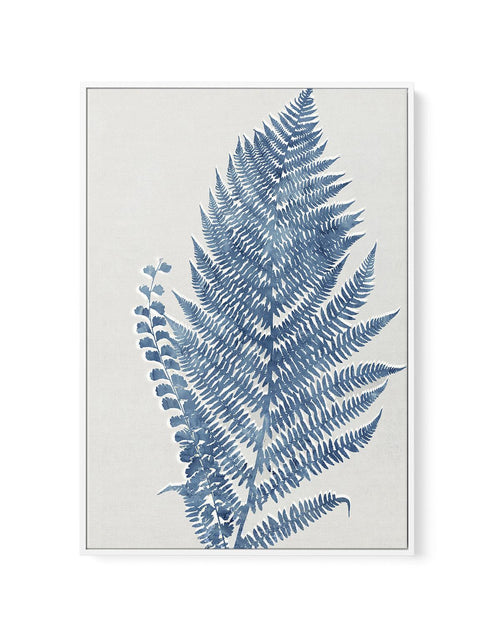 Fern I | Framed Canvas-CANVAS-You can shop wall art online with Olive et Oriel for everything from abstract art to fun kids wall art. Our beautiful modern art prints and canvas art are available from large canvas prints to wall art paintings and our proudly Australian artwork collection offers only the highest quality framed large wall art and canvas art Australia - You can buy fashion photography prints or Hampton print posters and paintings on canvas from Olive et Oriel and have them delivered