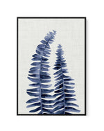 Fern | Navy | Framed Canvas-CANVAS-You can shop wall art online with Olive et Oriel for everything from abstract art to fun kids wall art. Our beautiful modern art prints and canvas art are available from large canvas prints to wall art paintings and our proudly Australian artwork collection offers only the highest quality framed large wall art and canvas art Australia - You can buy fashion photography prints or Hampton print posters and paintings on canvas from Olive et Oriel and have them deli