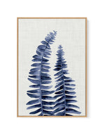 Fern | Navy | Framed Canvas-CANVAS-You can shop wall art online with Olive et Oriel for everything from abstract art to fun kids wall art. Our beautiful modern art prints and canvas art are available from large canvas prints to wall art paintings and our proudly Australian artwork collection offers only the highest quality framed large wall art and canvas art Australia - You can buy fashion photography prints or Hampton print posters and paintings on canvas from Olive et Oriel and have them deli