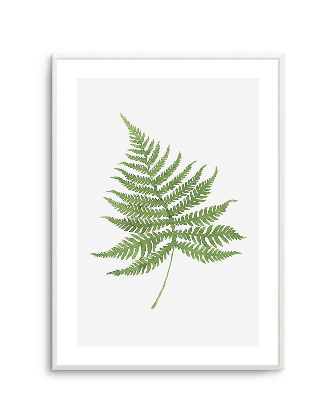 Fern on Grey I Art Print-PRINT-Olive et Oriel-Olive et Oriel-A4 | 8.3" x 11.7" | 21 x 29.7cm-Unframed Art Print-With White Border-Buy-Australian-Art-Prints-Online-with-Olive-et-Oriel-Your-Artwork-Specialists-Austrailia-Decorate-With-Coastal-Photo-Wall-Art-Prints-From-Our-Beach-House-Artwork-Collection-Fine-Poster-and-Framed-Artwork