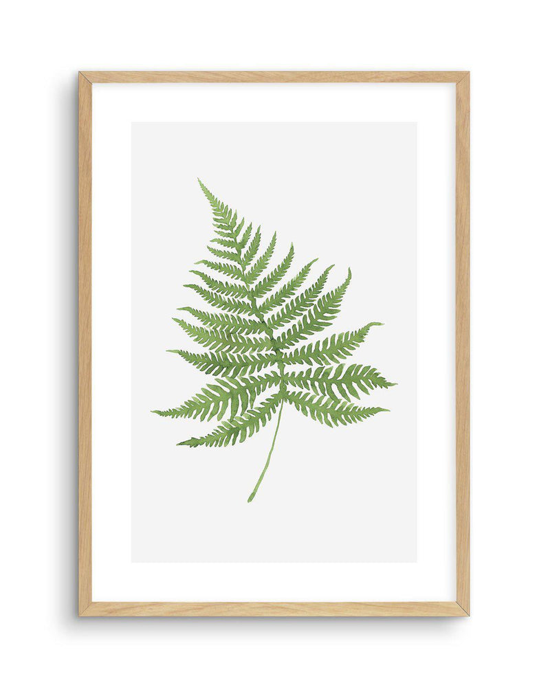 Fern on Grey I Art Print-PRINT-Olive et Oriel-Olive et Oriel-A4 | 8.3" x 11.7" | 21 x 29.7cm-Oak-With White Border-Buy-Australian-Art-Prints-Online-with-Olive-et-Oriel-Your-Artwork-Specialists-Austrailia-Decorate-With-Coastal-Photo-Wall-Art-Prints-From-Our-Beach-House-Artwork-Collection-Fine-Poster-and-Framed-Artwork