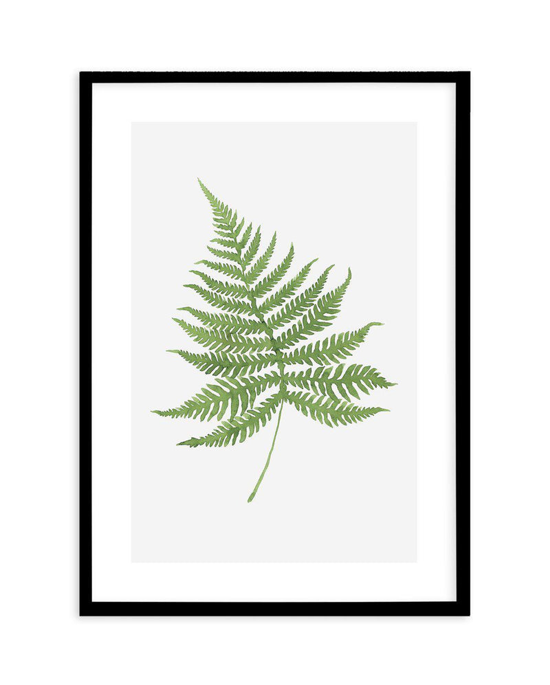 Fern on Grey I Art Print-PRINT-Olive et Oriel-Olive et Oriel-A4 | 8.3" x 11.7" | 21 x 29.7cm-Black-With White Border-Buy-Australian-Art-Prints-Online-with-Olive-et-Oriel-Your-Artwork-Specialists-Austrailia-Decorate-With-Coastal-Photo-Wall-Art-Prints-From-Our-Beach-House-Artwork-Collection-Fine-Poster-and-Framed-Artwork